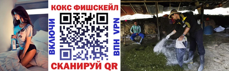 Купить закладки  Байкальск  Cocaine Fish Scale 