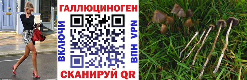 Галлюциногенные грибы мицелий  Купить закладки  Байкальск 